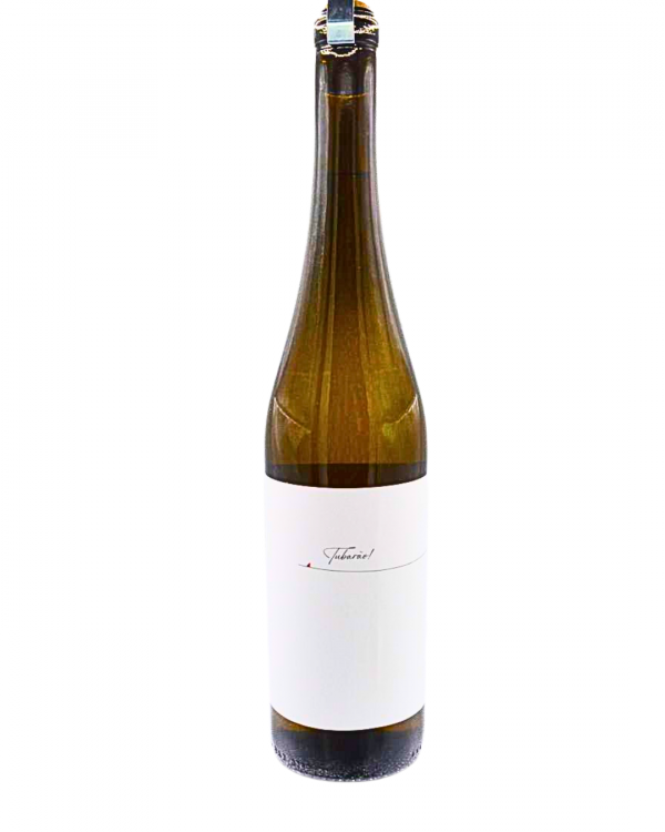 2023 Tubarão White